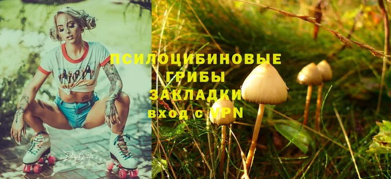 Псилоцибиновые грибы Magic Shrooms  Елец 